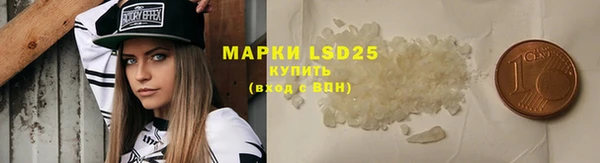 дживик Аркадак