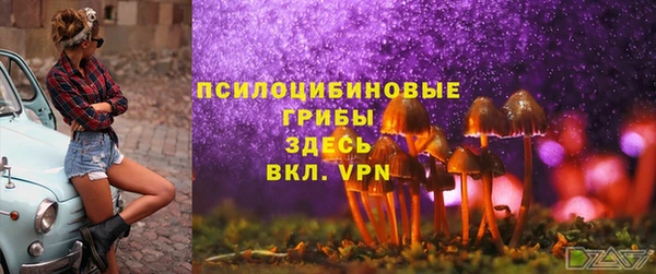 дживик Аркадак