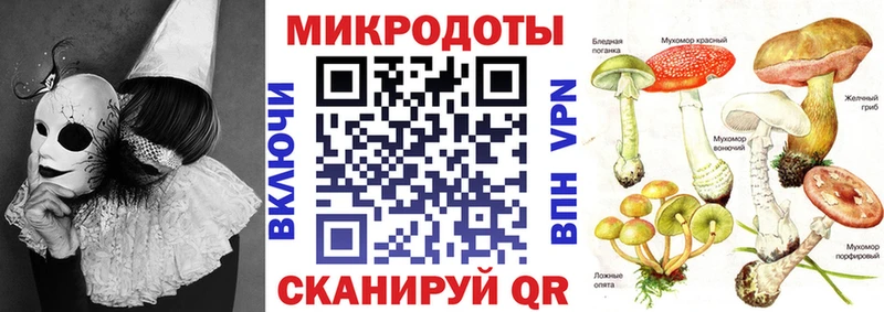Псилоцибиновые грибы Psilocybe купить сайты Венёв