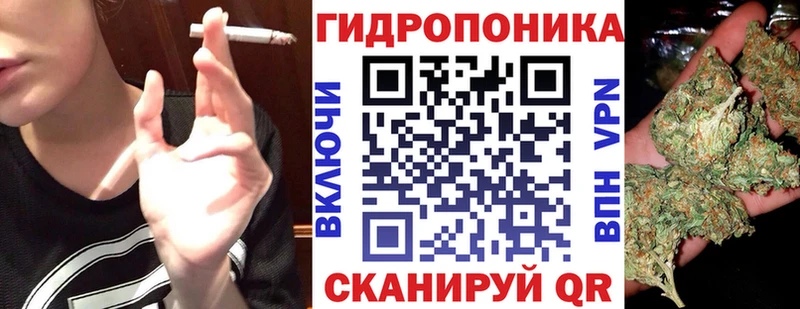 блэк спрут сайт  Венёв  Бошки марихуана AK-47  сколько стоит 
